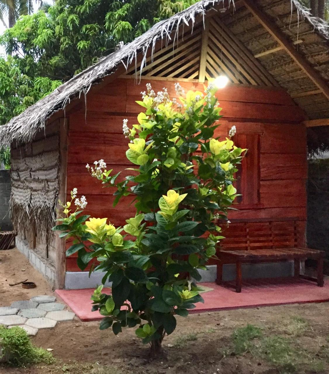 Lemon Tree Hostel อารูกัมเบย์ ภายนอก รูปภาพ