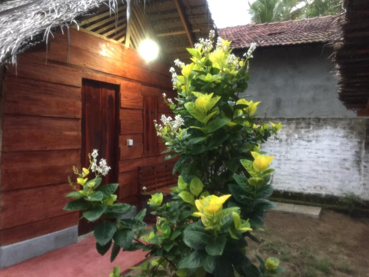 Lemon Tree Hostel อารูกัมเบย์ ภายนอก รูปภาพ